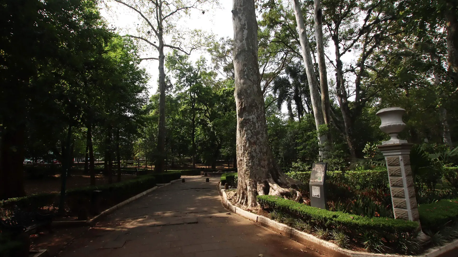 Los Berros-Parque Miguel Hidalgo